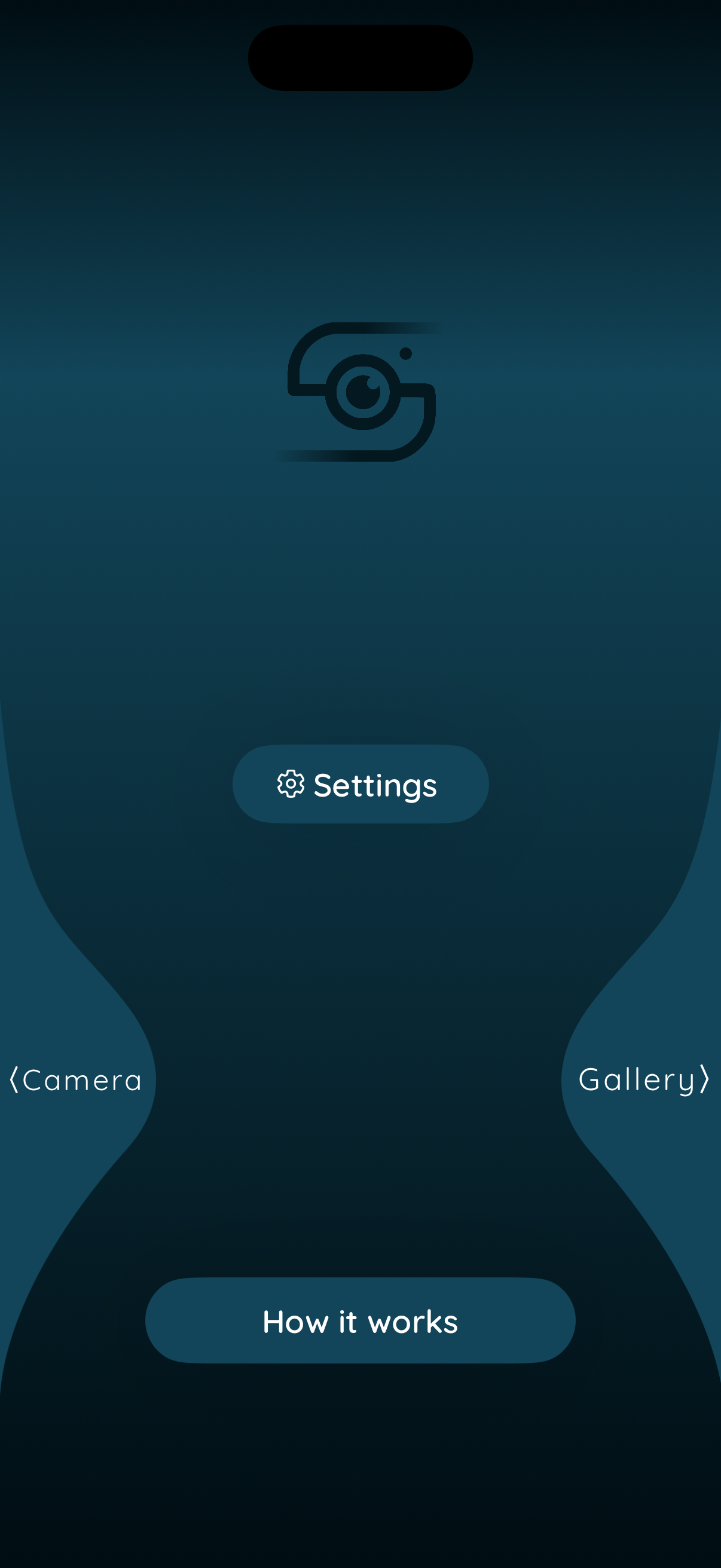 Discreet app home screen with Camera, Gallery, Settings and How it works buttons